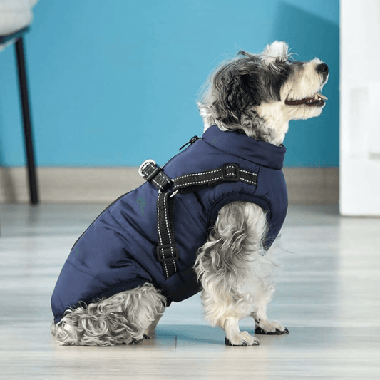 StormSafe - Waterproof Winter Dog Coat